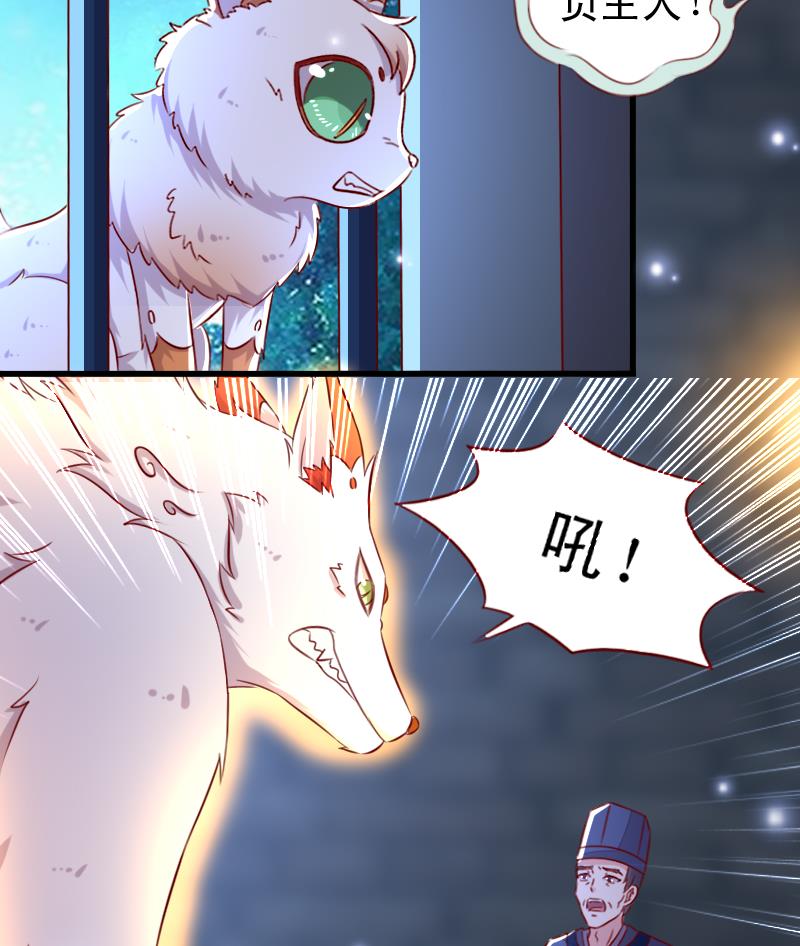 第103话 再次刺杀-第103话