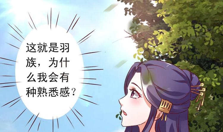 第37话 夜探羽族-第37话