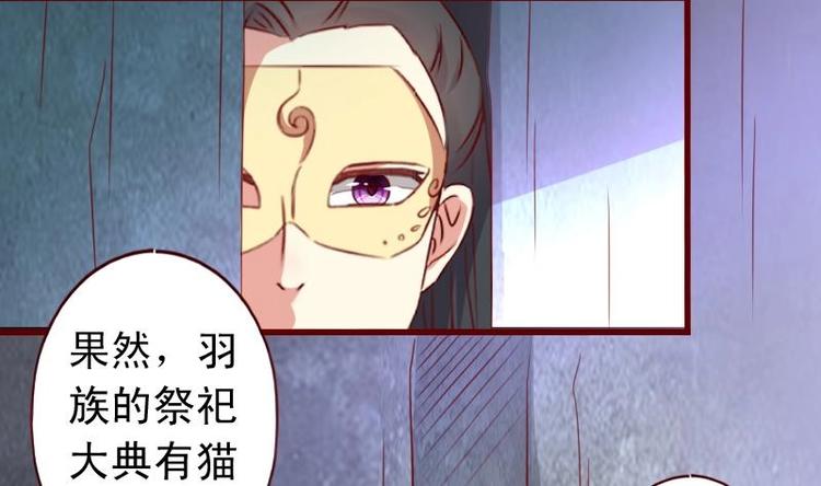 第49话 遇刺-第49话