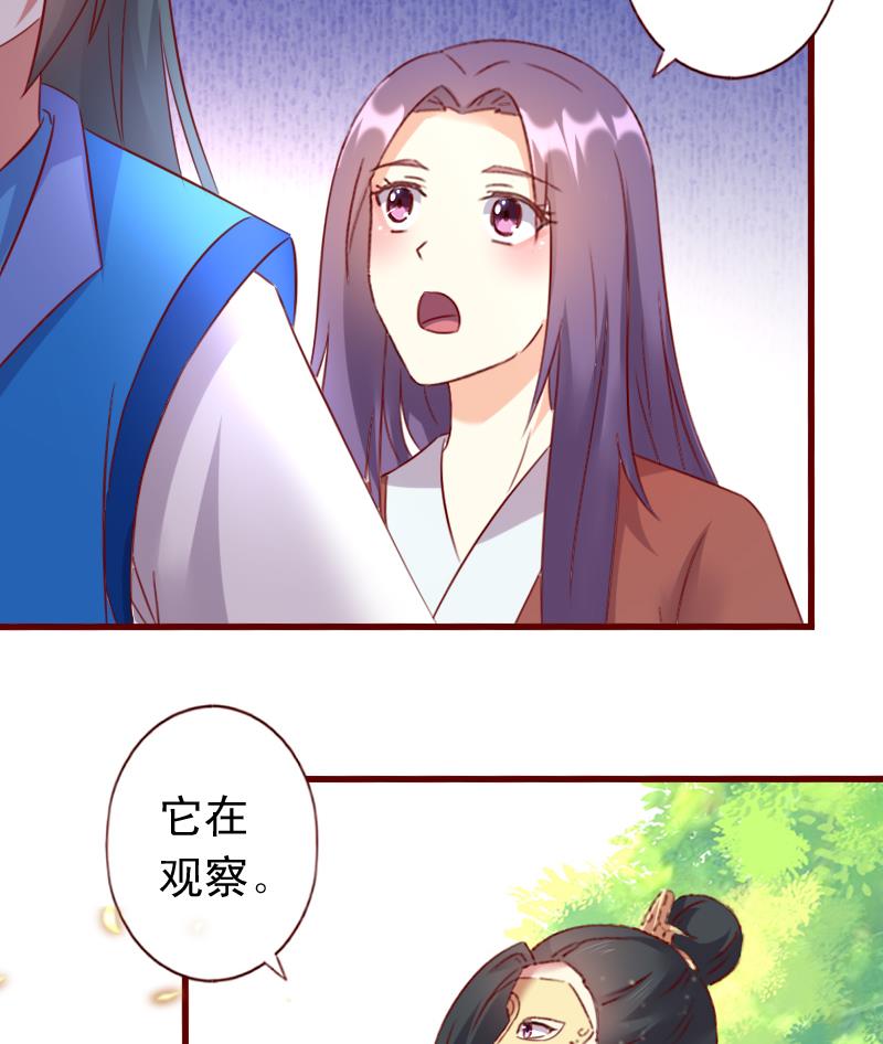 第65话 守护兽来了-第65话