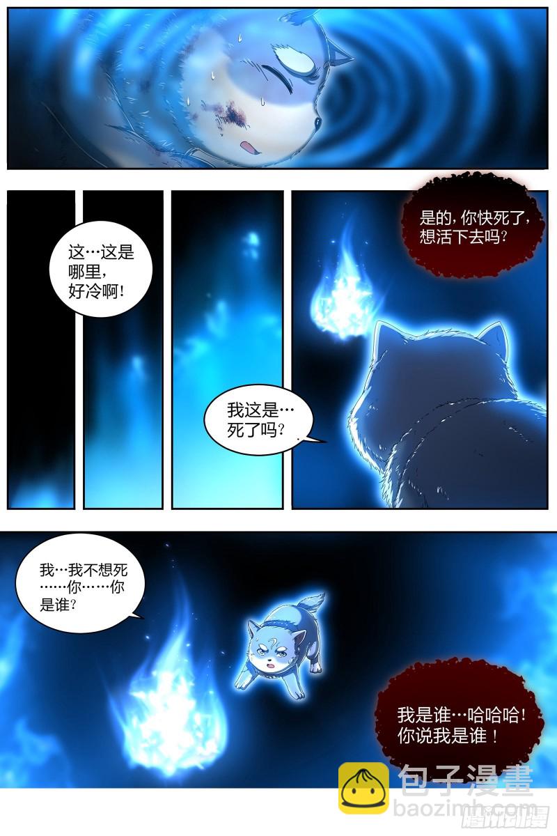 🍜驭灵师 24燧人戒  小狼的遗愿 第10页