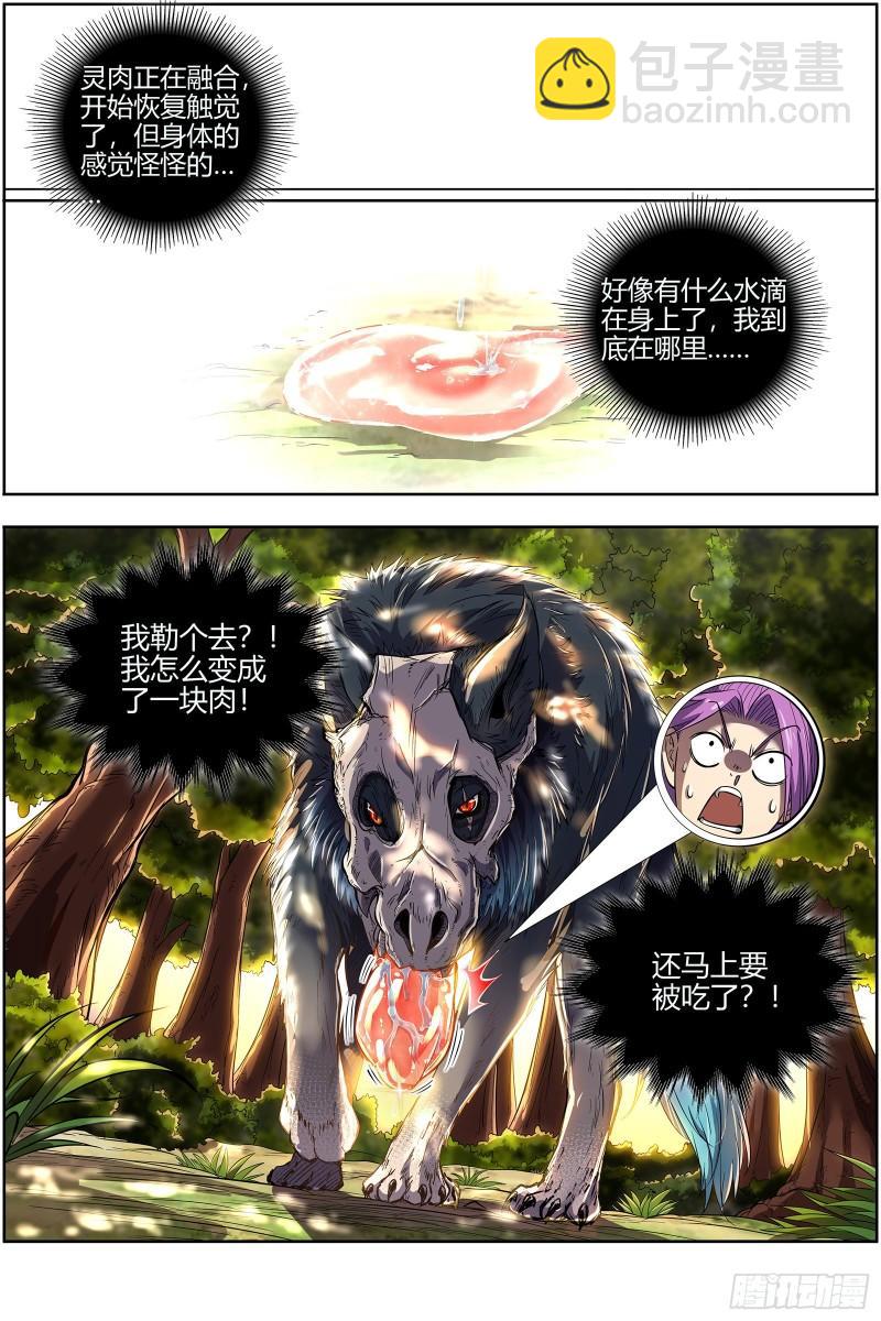 🍜驭灵师 28绝灵海   夺舍转生 第14页