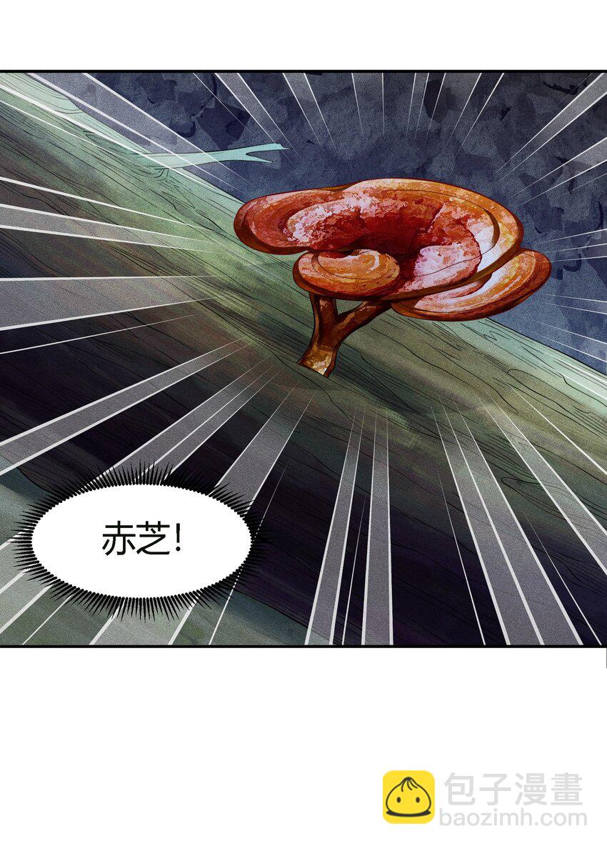 11 祸兮福所倚-第13话