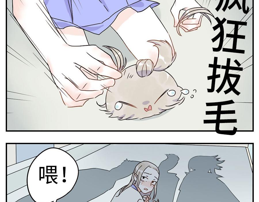 第35话 脱发妖（下）-第53话
