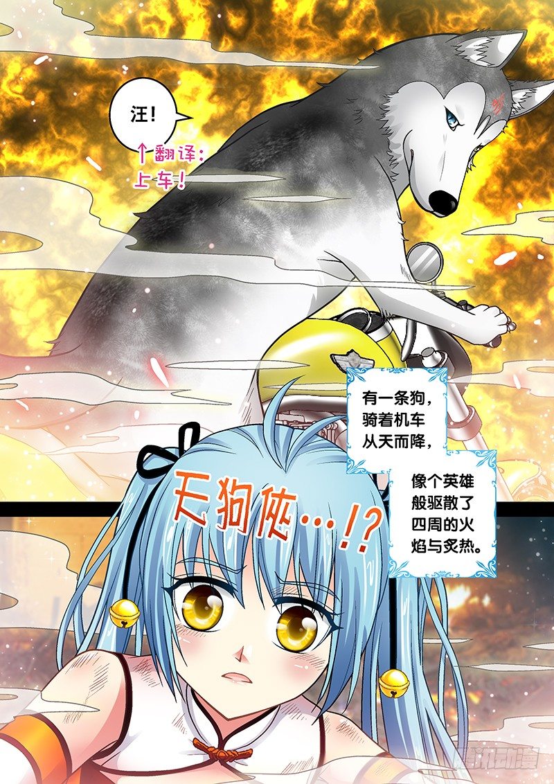 🍜玉医玄九天 007-4 飞舞吧！坦克 第4页