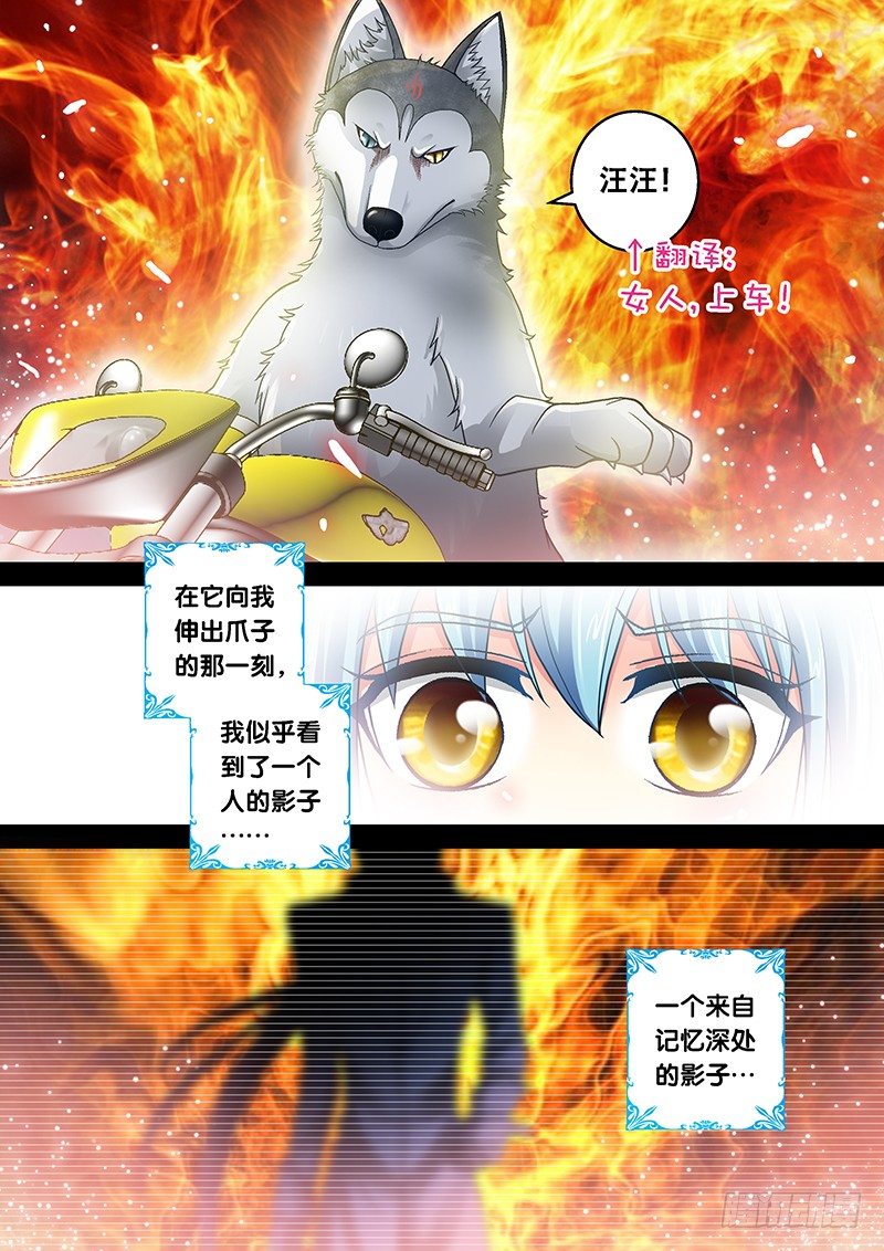 🍜玉医玄九天 007-4 飞舞吧！坦克 第6页