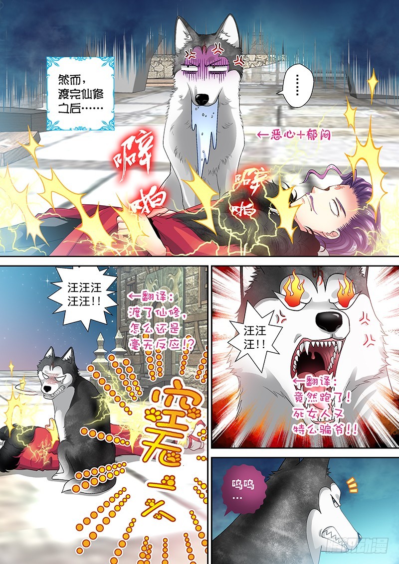 🍜玉医玄九天 013-3 喵了个汪汪汪！ 第1页