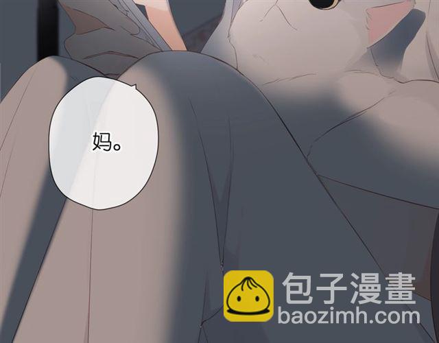第23话 妈妈的幸运(1/2)-第29话