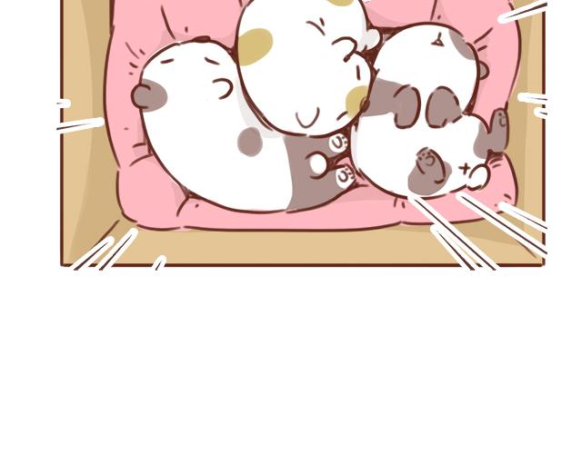 第48话 出现了新&hellip;新阿姨？？(1/2)-第47话
