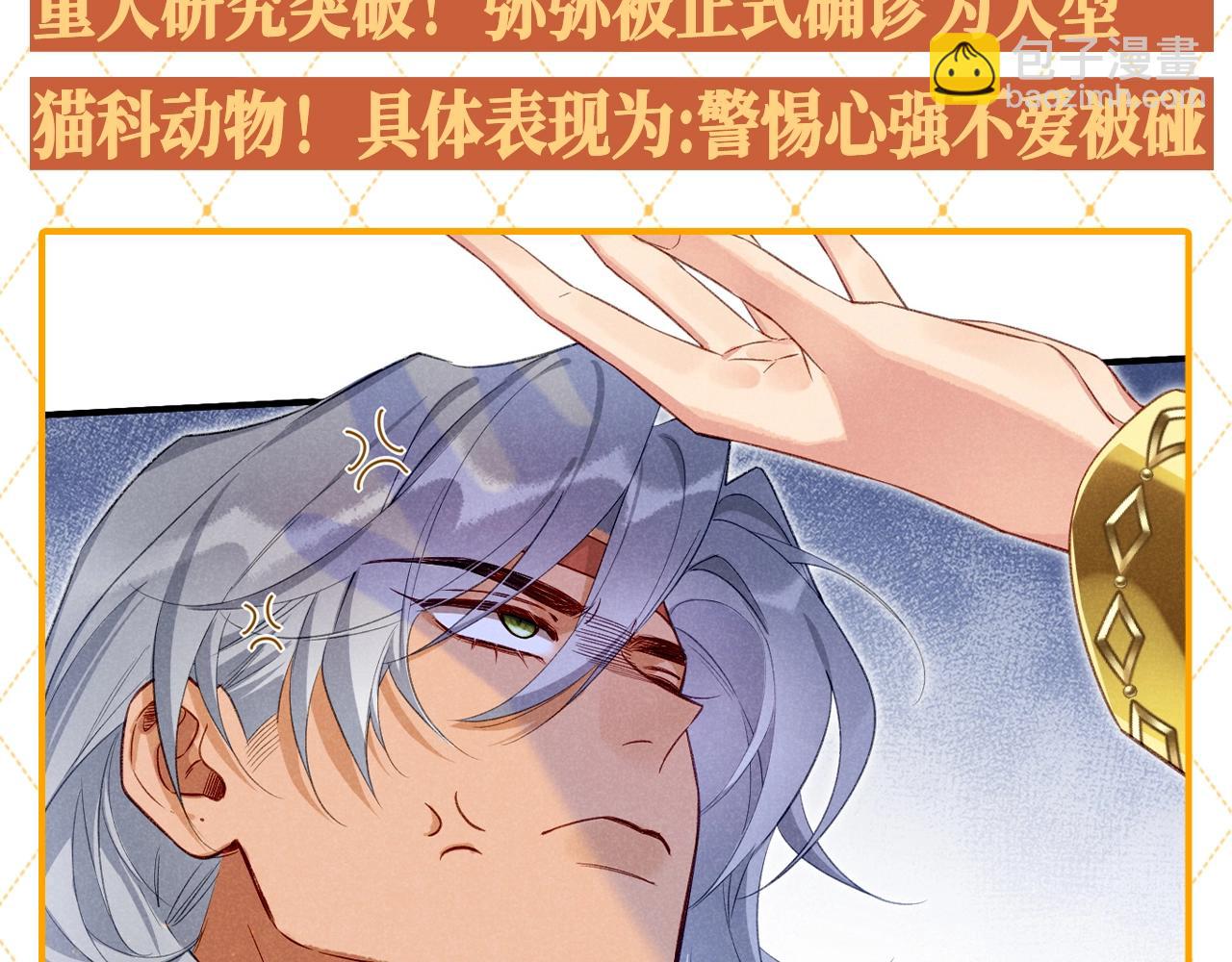 第46期 整活企划：弥弥被确诊为猫科动物！-第111话