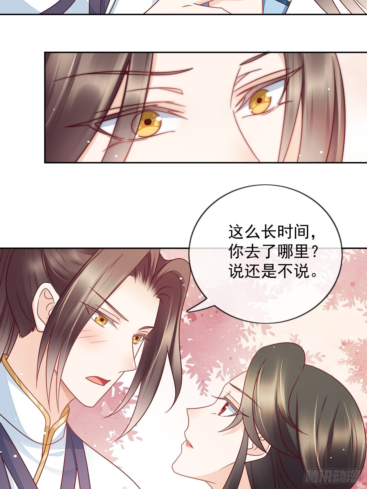 第30话 观澄在我心中-第31话