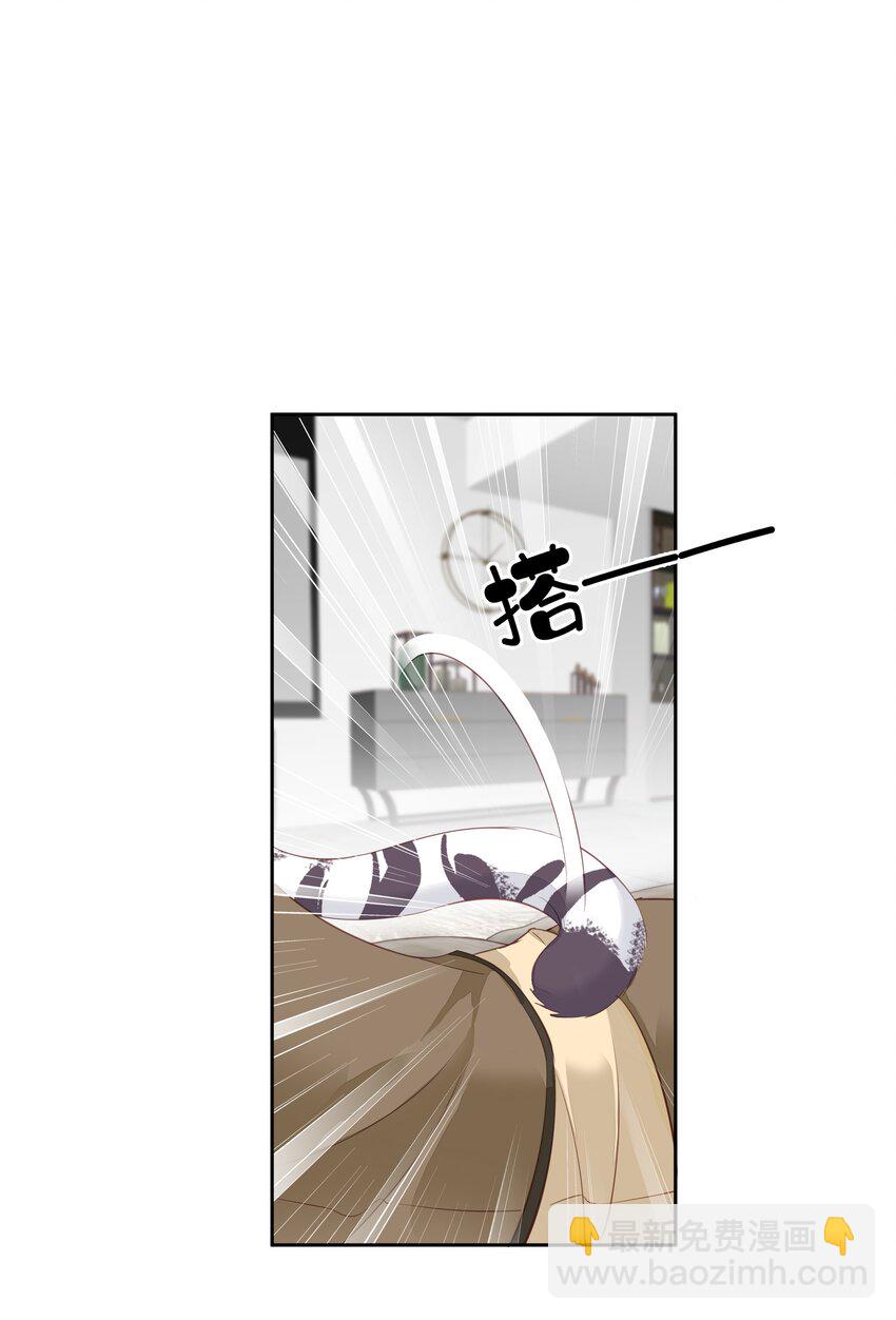 006 我可以摸一下吗？-第3话