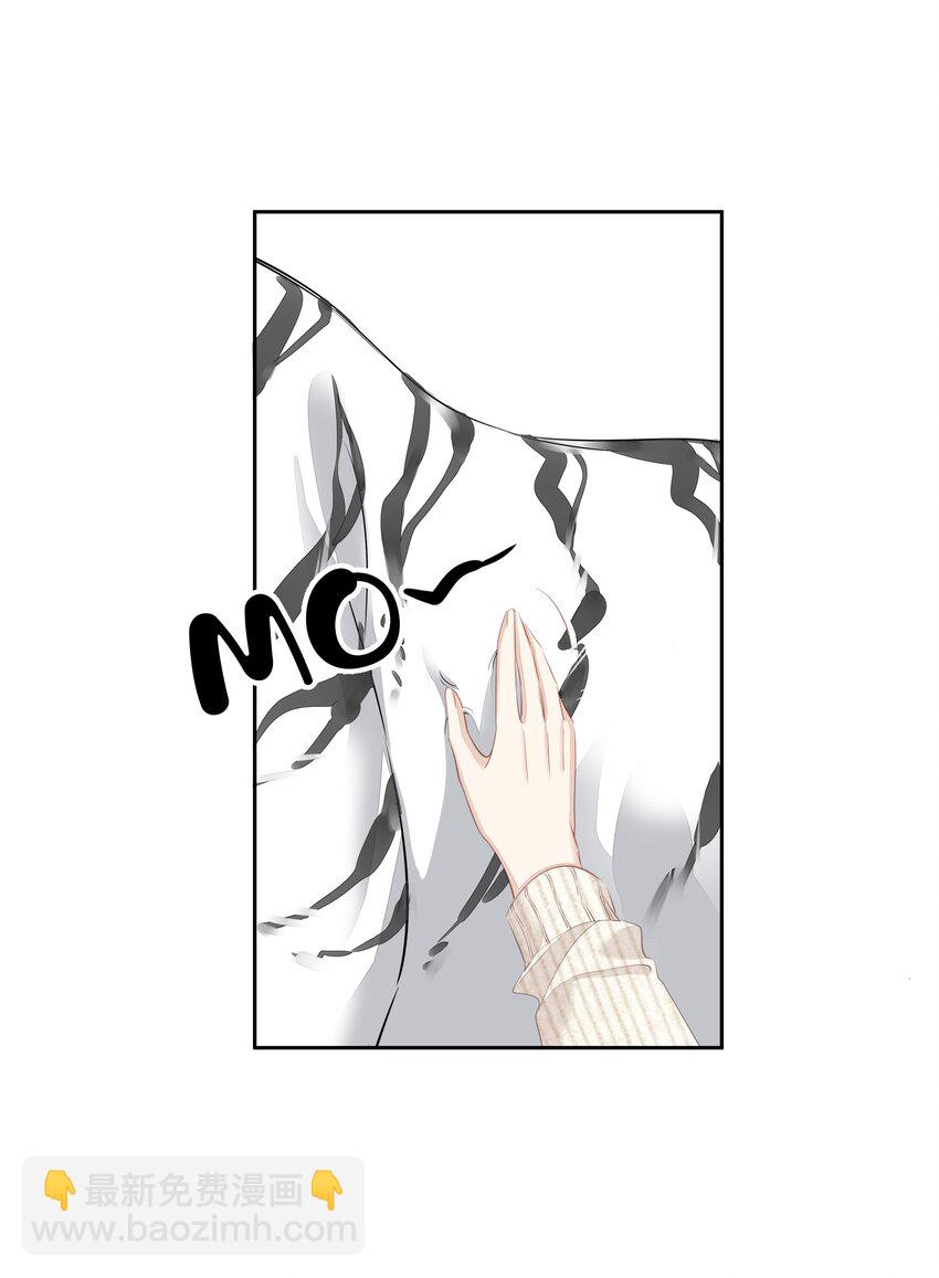 035 rua~老虎毛的手感(1/2)-第33话