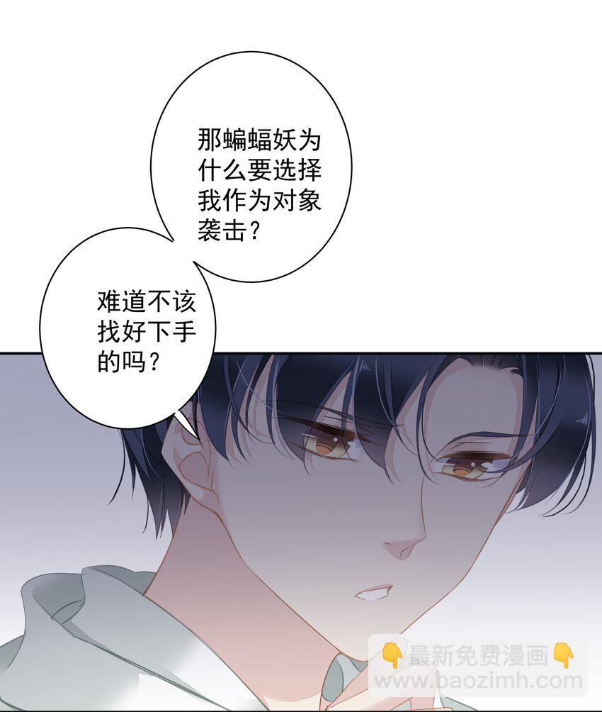 041 让脏话猫自己找吃的-第39话