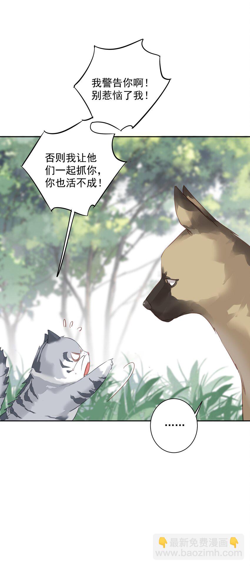 047 白玉狸去上学-第45话