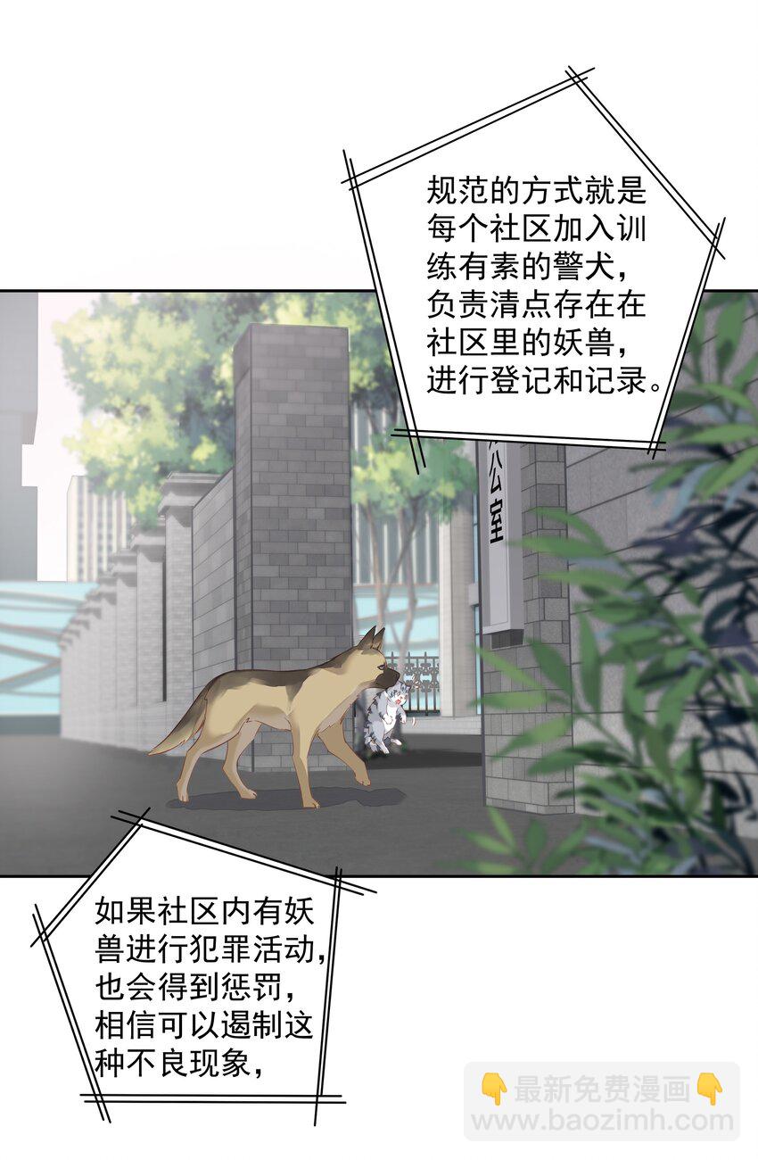 047 白玉狸去上学-第45话