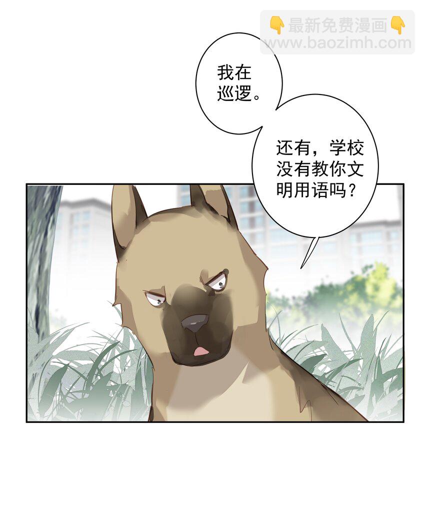 049 我要正式和你约会-第47话