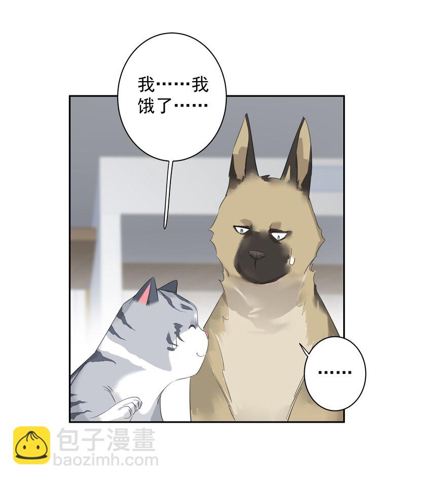 054 狂萌！是我阿彪儿（番外）-第53话