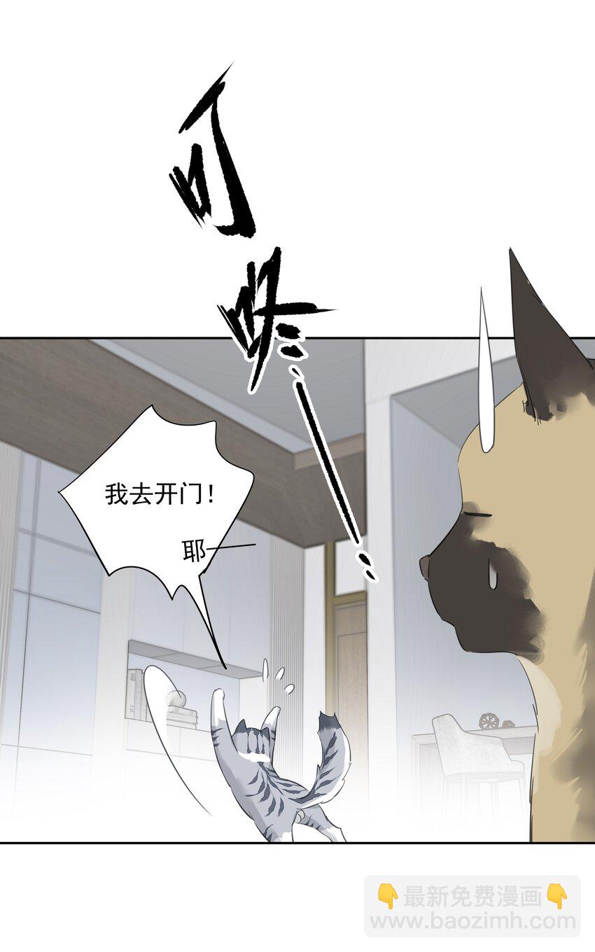 054 狂萌！是我阿彪儿（番外）-第53话