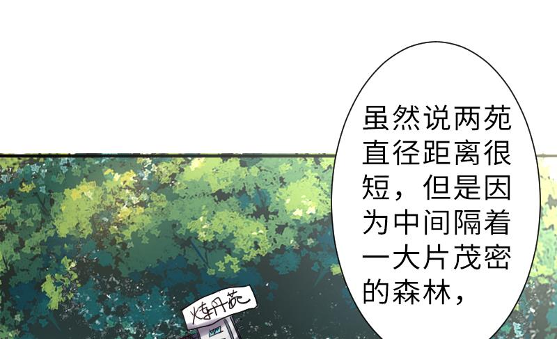 第二季 第13话 下 苑长也不算是个死画画的嘛(1/2)-第107话