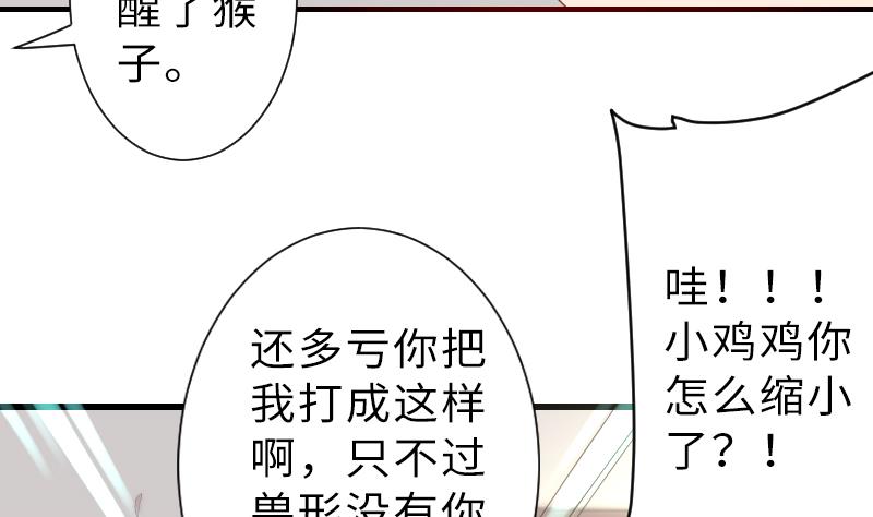 第二季 第13话 下 苑长也不算是个死画画的嘛(1/2)-第107话