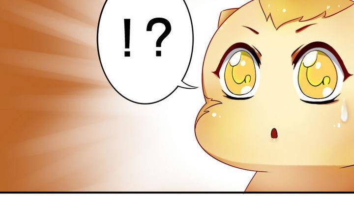 第17话 猫兽(1/2)-第17话