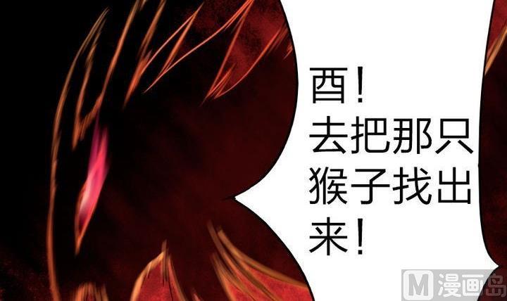 第73话 躲吧！骚猴！-第73话