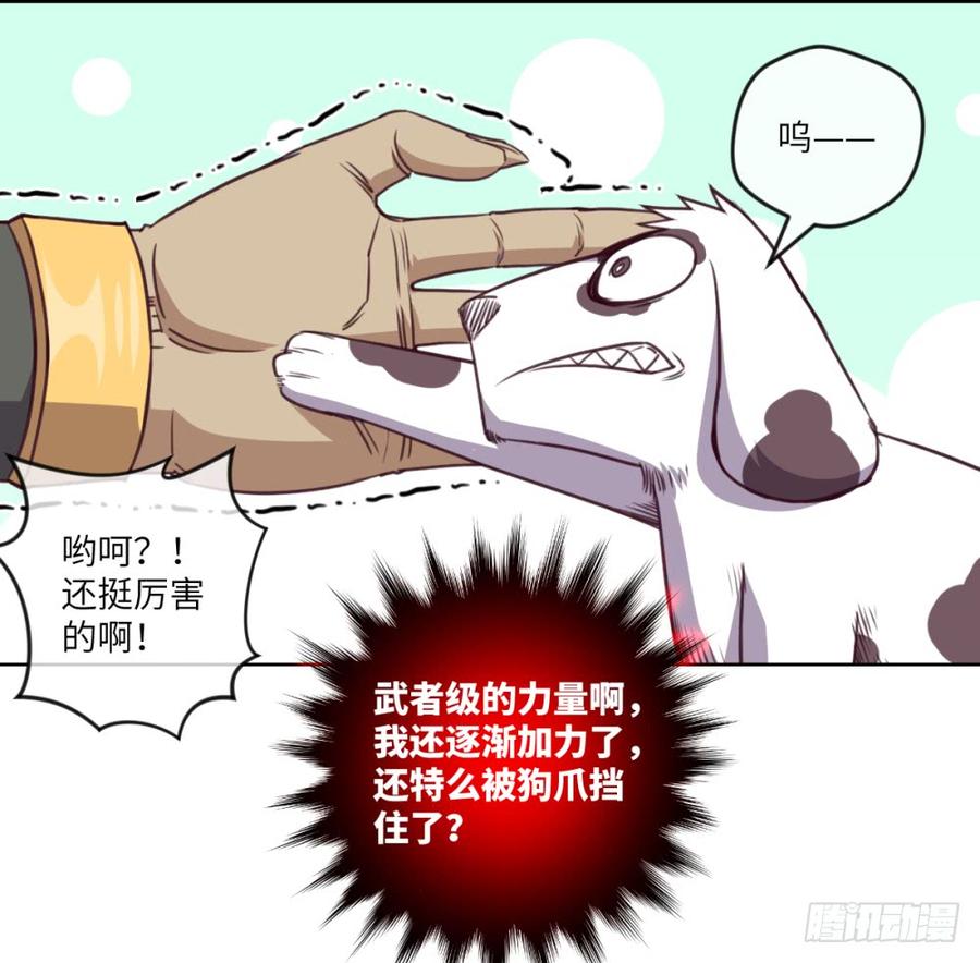 武圣VS毛球(1/2)-第49话