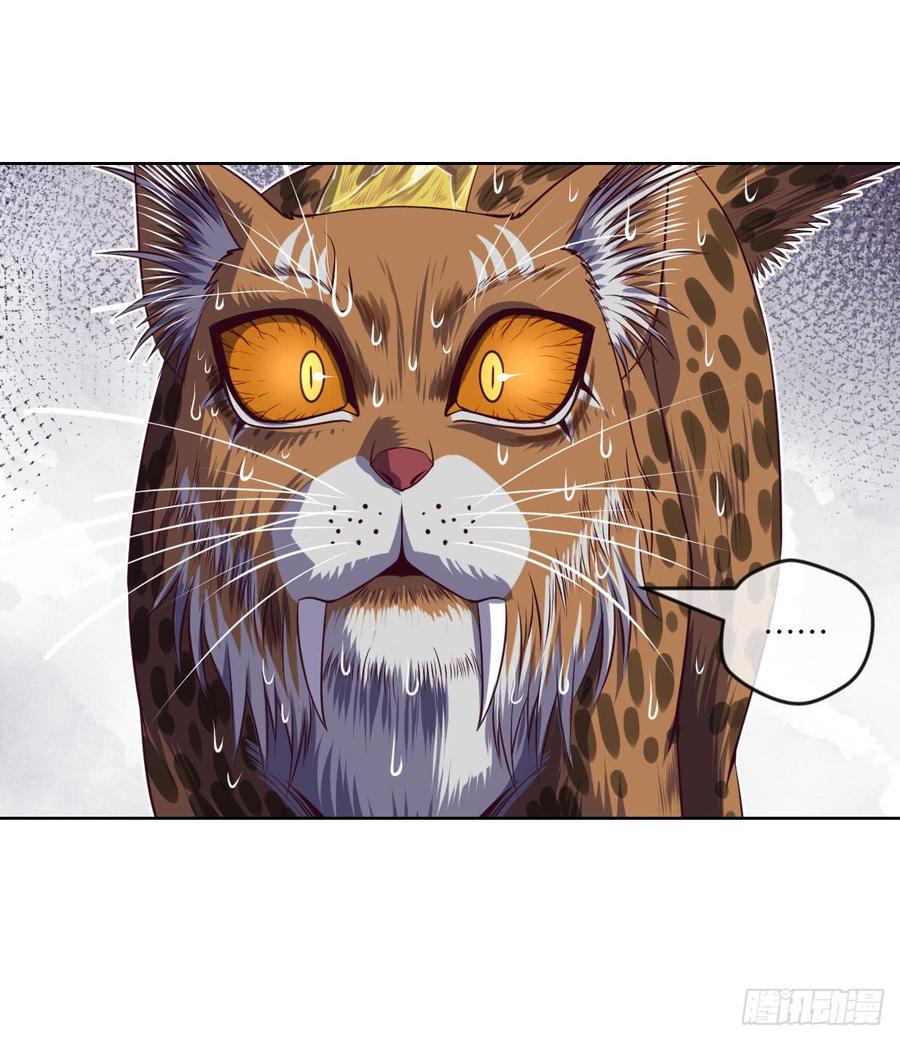 大猫咪~来玩撒!-第59话