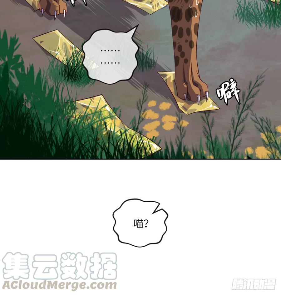 大猫咪~来玩撒!-第59话