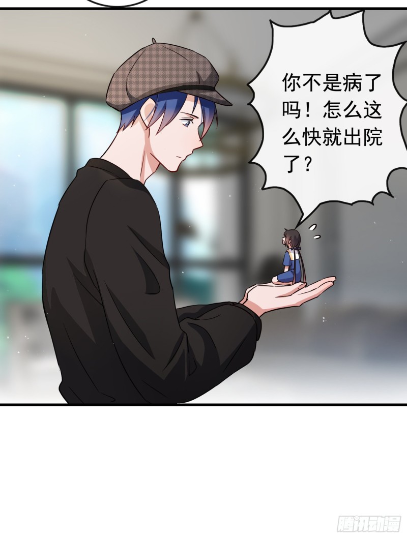 第56话 来领宠物-第57话