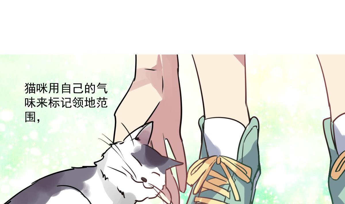 第53话 你的歌-第51话