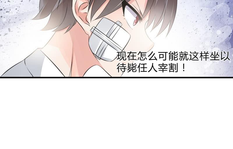 决意(1/2)-第43话