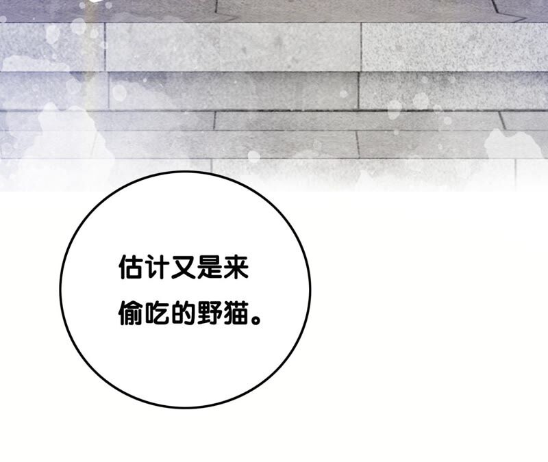 第74话 估计是那偷吃的夜猫(1/3)-第75话