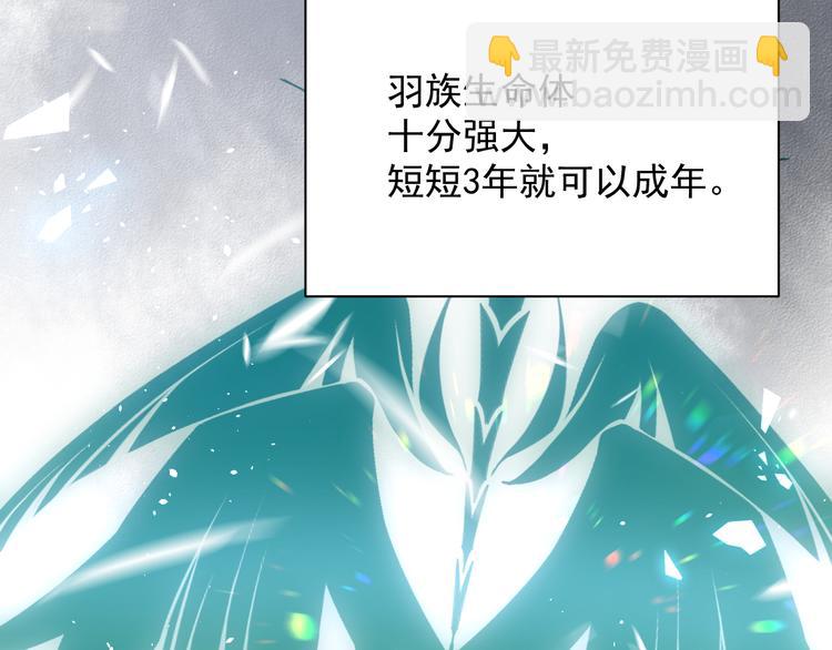 第14话 护短(1/2)-第15话