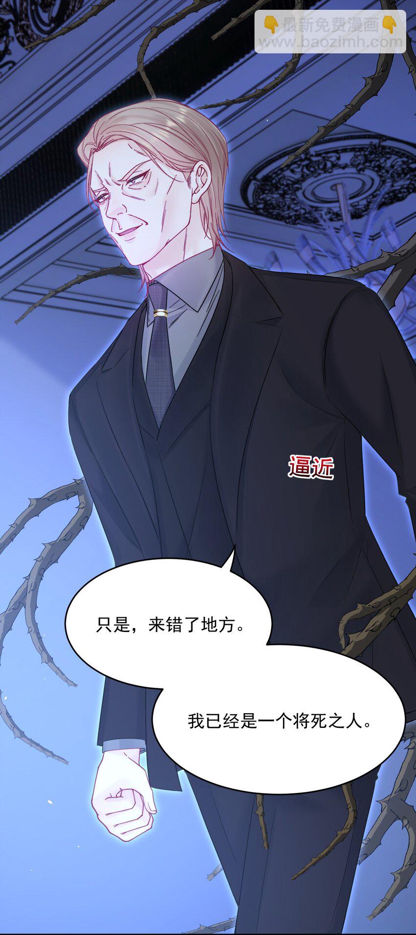 217话 最终章倒计时（六）-第223话