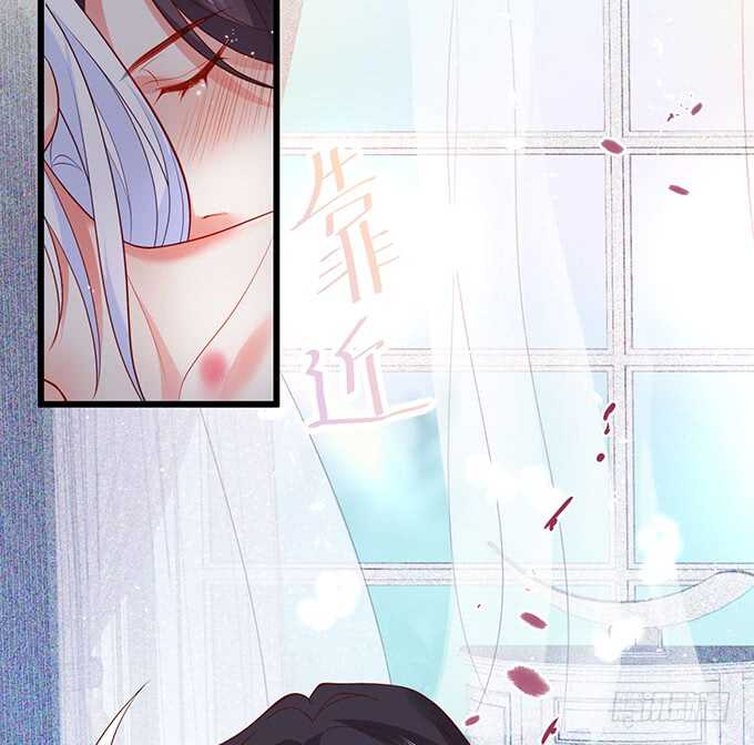 阿绯凌夜终于结婚了~(1/2)-第163话