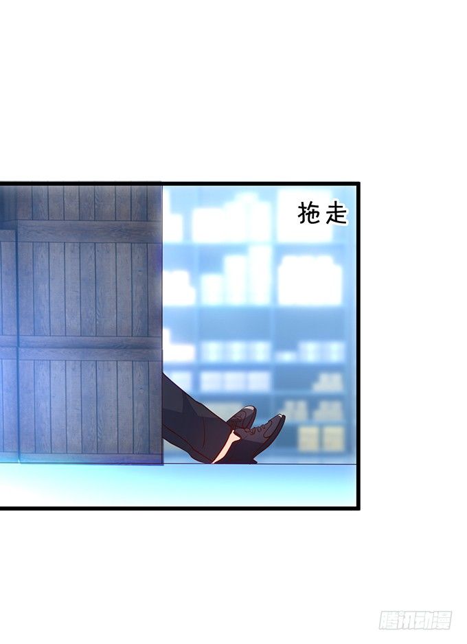 小猫咪，我们又见面了~(1/2)-第25话