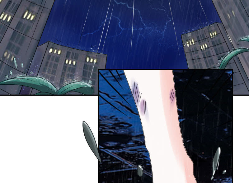 初次相遇的雨夜(1/2)-第3话