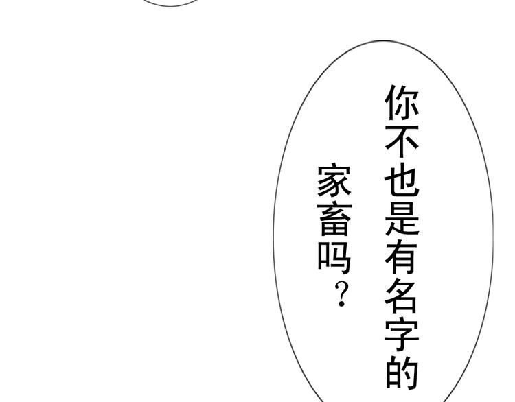 第10话 好久不见 想不想我(1/2)-第11话