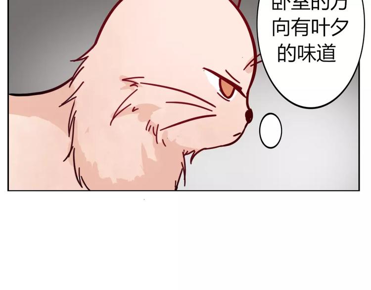 第36话 我不会丢下你(1/2)-第39话