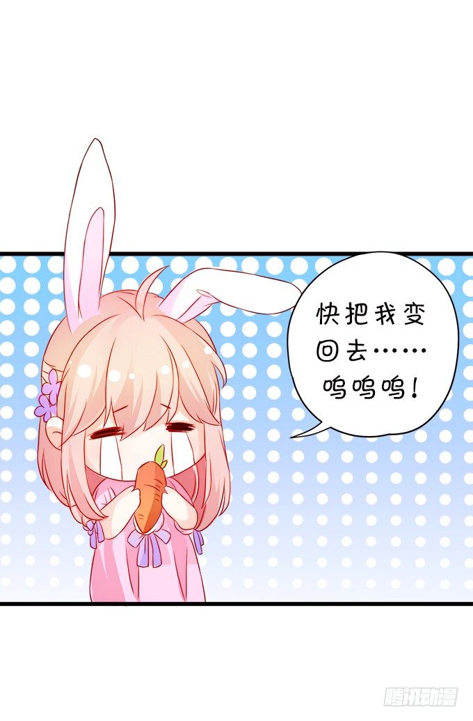 怎么办？被袭击了！(1/2)-第13话