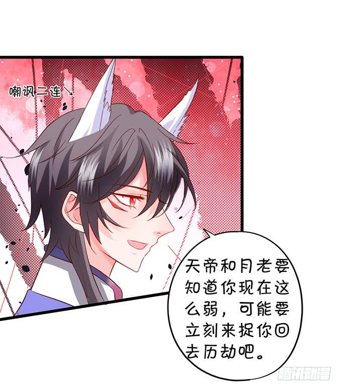 臭狐狸，你别想吃铃儿豆腐！(1/2)-第125话