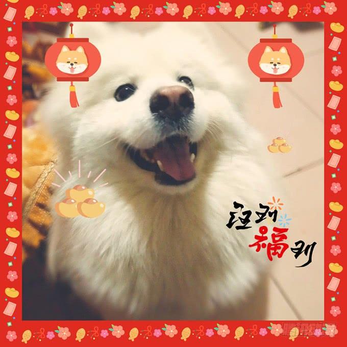 你会答应我的，对吗？-第133话