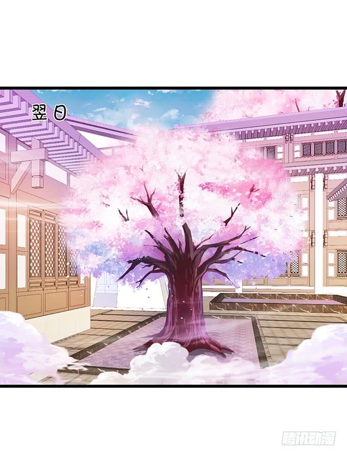 你为何执意要杀我呢？(1/2)-第135话