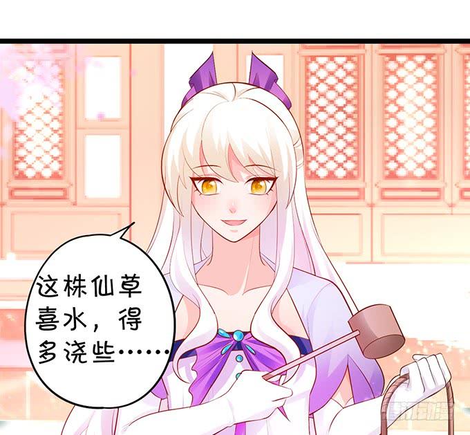 花前月下，接吻最为合适~-第137话