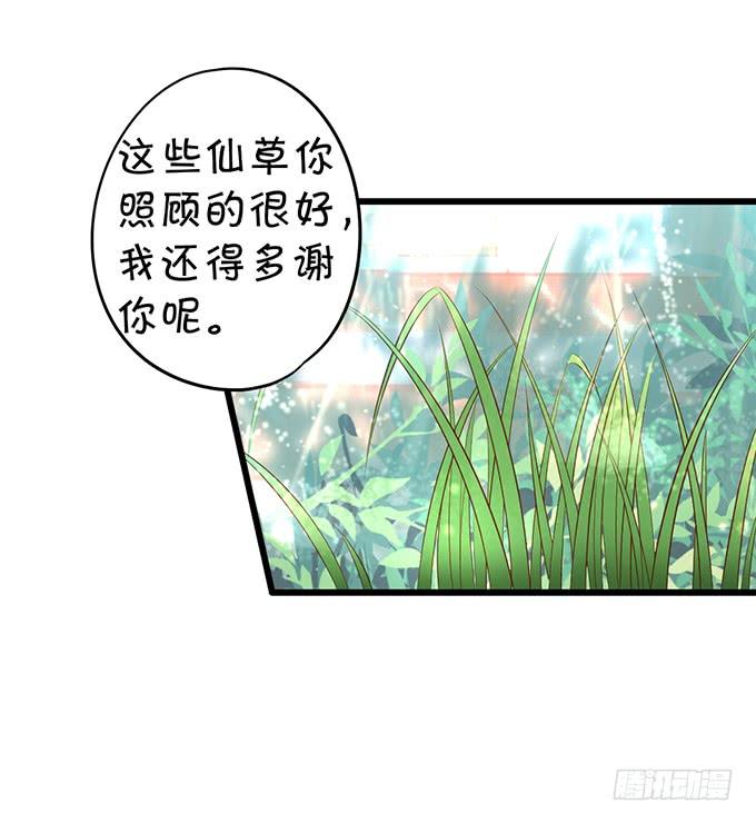 花前月下，接吻最为合适~-第137话