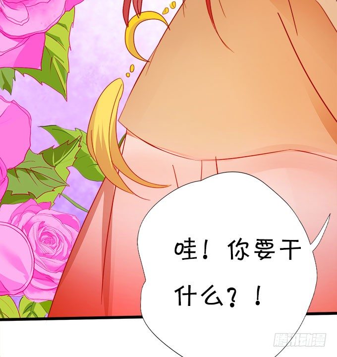你们背着本尊计划什么呢？(1/2)-第15话