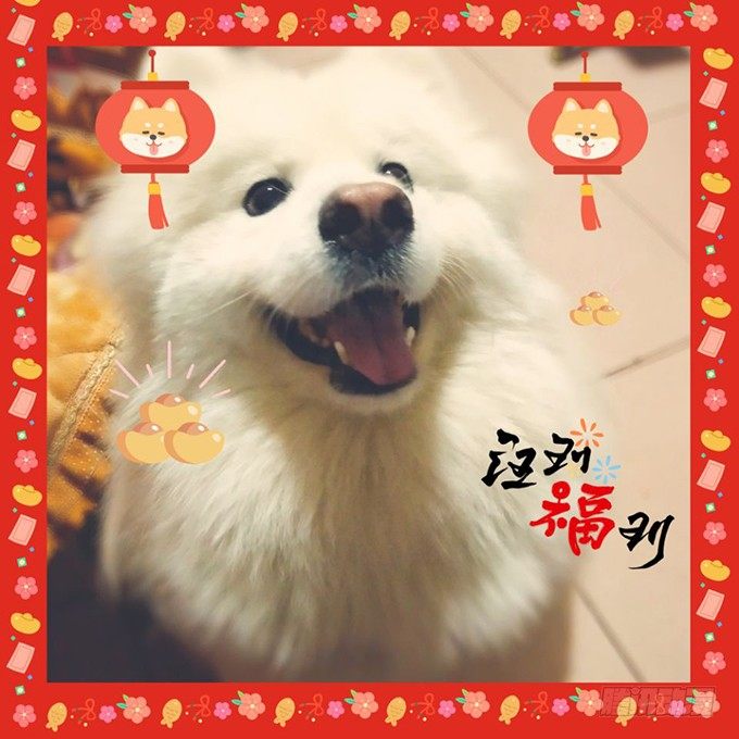 完结篇：时光不老，我们不散！-第111话