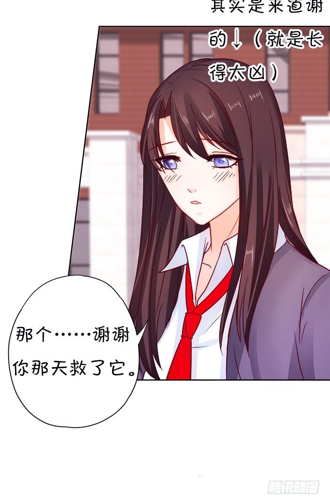 情敌还是朋友？(1/2)-第7话